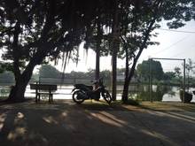 Hình ảnh Bán nhà mặt hồ Quất Động Thường Tín