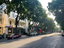 Hình ảnh (HIẾM) Bán Đất PHỐ PHAN CHU TRINH - Hoàn Kiếm, 171m2, mt 12m, 43 tỷ