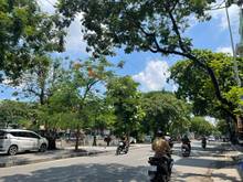 Hình ảnh Bán BIỆT THỰ ĐẲNG CẤP phố KIM NGƯU, SÂN ĐỂ VÀI Ô TÔ, 318m2, 33 tỷ