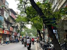 Hình ảnh (HIẾM) Bán tòa nhà VĂN PHÒNG mặt phố phường Hàng Mã - Hoàn Kiếm, 80m2