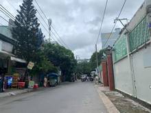 Hình ảnh Hẻm Xe Tải - Kinh Doanh Đa Ngành Nghề. 62m2 - 3 Tầng BTCT NHỈNH 5 TỶ