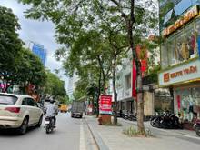 Hình ảnh (GẤP) Bán nhà KINH DOANH mặt phố THÁI HÀ - VIP Đống Đa, 462m2, mt 12m
