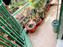 Hình ảnh Nhà bán hẻm Huỳnh Mẫn Đạt P2Q5. Giá 5,5 tỷ TL