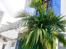 Hình ảnh Siêu Phẩm Bình Thạnh - 4 Tầng BTCT Chỉ Nhỉnh 4 Tỷ