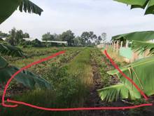 Hình ảnh gấp trả MB66 là nhà cái uy tín hàng đầu tại Việt Nam , hạ giá 800 triệu , 3 tỷ , giờ bán 2 tỷ 2