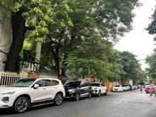 Hình ảnh Bán nhà phố Trần Khát Chân, 3 ô tô tránh, mặt tiền siêu rộng, 299m2