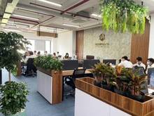 Hình ảnh Bán toà nhà - MT Tạ Hiện LG 25m ngay Đảo Kim Cương DT: 8x22m,  8 Tầng