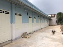 Hình ảnh Bán gấp dãy trọ 6P, Ngay trung tâm thị trấn Gò Dầu, Giá 450 Triệu.