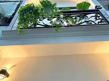 Hình ảnh Bán gấp nhà Hồng Hà, Tân Bình,60m2,SHR, HẺM Ô TÔ, GIÁ:1TY650