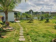 Hình ảnh Nhà vườn View sông, 2 MT Nguyễn Xiển, 800m2, chỉ 35 Triệu/m2, Quận 9