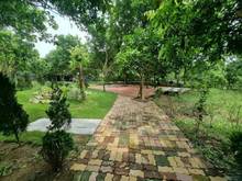 Hình ảnh Cho thuê nhà và Đất ở ngõ 76 An dương làm Homestay, nhà hàng