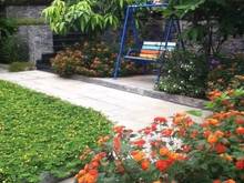 Hình ảnh Cho thuê khu tổ hợp 4000m2 đường Trường Chinh, Tây Thạnh, Tân Phú