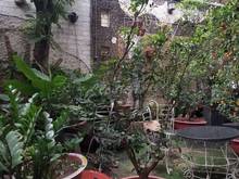 Hình ảnh Chính Chủ Cần Bán Nhà Đường Võ Thành Trang P11, QTB