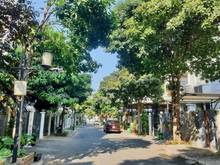 Hình ảnh Biệt thự Nam Viên Phú Mỹ Hưng Cho Thuê