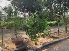 Hình ảnh Bán đất KDC Phú Mỹ 100m2 giá 2 tỷ 1, sổ riêng sang tên ngay, sẵn GPXD