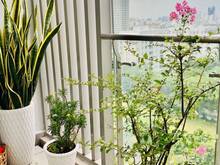 Hình ảnh CĂN HỘ RIVERPARK 1  Dt: 134m2.Nhà trống tiện decor Bán giá: 7.4tỷ.