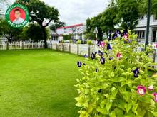 Hình ảnh ✅Chinh phục Niềm Đam Mê Làm Vườn✅ tại Thủ Đức Garden Homes - ToanTran