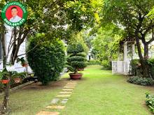 Hình ảnh Khoảng Xanh Bên Trong Thành Phố - Biệt Thự Vườn Thủ Đức Garden Homes