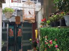 Hình ảnh Bán nhà Văn Hương, Đống Đa 50m² 2 ngủ, 1,55 tỷ, nhà đẹp về ở luôn