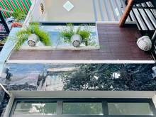 Hình ảnh MUA LIỀN Nhà Thành Thái q10 56m2 Chỉ 3.8 tỷ SHR