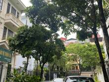 Hình ảnh Bán biệt thự phố Minh Khai - Hai Bà Trưng, 145m2, MT 10m, 42 tỷ