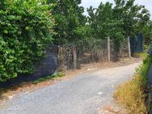 Hình ảnh nhà Vườn ở Tứ liên 3400m2 rất phù hợp nghỉ dường nghỉ, homestay