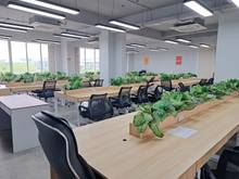 Hình ảnh Sàn văn phòng Shophouse Sala hoàn thiện 286 m2,đầy đủ nội thất giá tốt