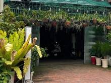 Hình ảnh Nhà MT 6*25 cấp 4 trống suốt khu tên lửa