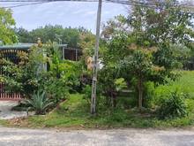 Hình ảnh đất gap tân uyen245mn sổ rieng