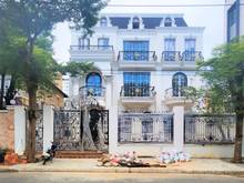 Hình ảnh Cho thuê nhiều biệt thự Phú Mỹ Hưng Quận 7, giá từ 1400$ - 6000$