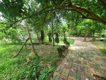 Hình ảnh Cho thuê nhà vườn ở gần Bãi Đã 3400m2 đẹp như ảnh để nghỉ dưỡng