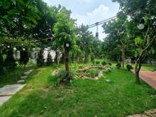 Hình ảnh Chính chủ thuê nhà vườn An Lạc ở An Dương 3600m2 làm Homestay,Café