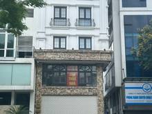 Hình ảnh Cho thuê nhà mặt phố Hoàng Đạo Thúy 360m2