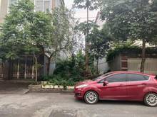 Hình ảnh HÀNG CỰC HIẾM Ngô xuân quảng Trâu Qùy