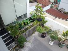 Hình ảnh Bán gấp Villa tâm huyết, siêu hạ giá từ 32ti xuống 24ti TL