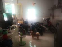 Hình ảnh Bán nhà Trần Bình Trọng, Quận 10, HXH, sân rộng gần ngả 7 Lý Thái Tổ