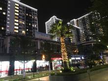 Hình ảnh Cho thuê Trang Chủ MB66.COM / Đăng Ký Tặng 66K New City! Thấp Venice lầu 15 DT 86m. Giá 18tr,Nhà đẹp!