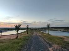 Hình ảnh Bán nhanh lô đất view biển 5773m2 Bình Thạnh, kế bên farmstay hiện hữu