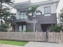 Hình ảnh Cho thuê nhanh biệt thự Hưng Thái, 7x18m, giá tốt nhất chỉ từ 31 triệu