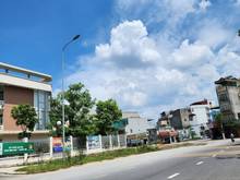 Hình ảnh Bán đất tặng nhà 2 tầng khu louis city Đại mỗ,50m, giá hơn 4 tỉ