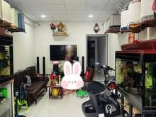 Hình ảnh Bán nhà hẻm 1467 PHẠM THẾ HIỂN, PHƯỜNG 6, QUẬN 8 - 92M2