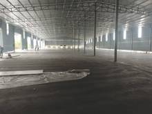 Hình ảnh Cho thuê kho xưởng 2000m2 tại An Khánh (Đại Lộ Thăng Long) - Giá 75k/m