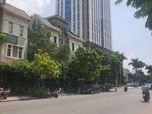 Hình ảnh Cho thuê BT Dương Nội, DT 185m2 đủ đồ, phù hợp mọi loại hình, giá 32tr
