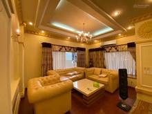 Hình ảnh Cho thuê biệt thự vip Phú Mỹ Hưng, Quận 7, 4 PN, giá 52 triệu/ tháng