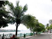 Hình ảnh Đầu tư hấp dẫn, bán Nhật Chiêu, 11 tầng, 30phong, cho thuê 2.4 tỷ/nam