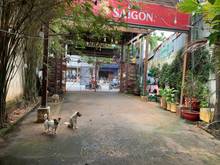 Hình ảnh ✅MT Nguyễn Thị Thập Q7 (500m2) _ Có Sân Rộng Để Xe Thoải Mái