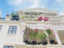 Hình ảnh Giảm sâu 1 tỷ nhà Cityland nội thất gỗ cao cấp thang máy - Thanh Tuyền
