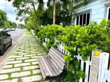 Hình ảnh Thích biệt thự sân vườn rộng để trồng ✅hoa hồng yêu thích - ToanTran