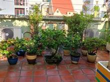 Hình ảnh Bán Gấp Biệt Thự Đơn Lập Đường Gò Dầu MT