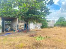 Hình ảnh Cho thuê 5.000m2 đất nằm ngay chân cầu gò dưa gần sông